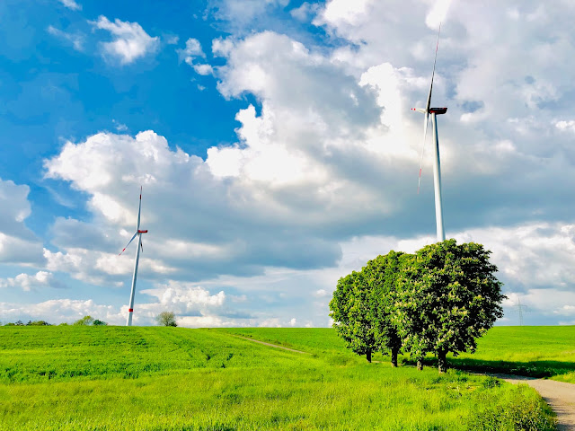 Types of  Renewable Energy Resources 