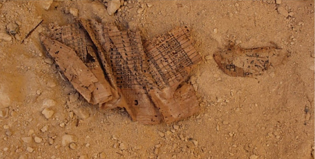 Один из папирусов, обнаруженных Пьером Талле