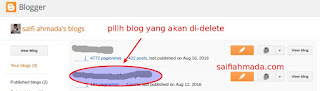 pilih blog delete