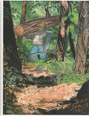 Logger Eddy Walking Through Forest