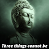 15 Buddha Quotes on life