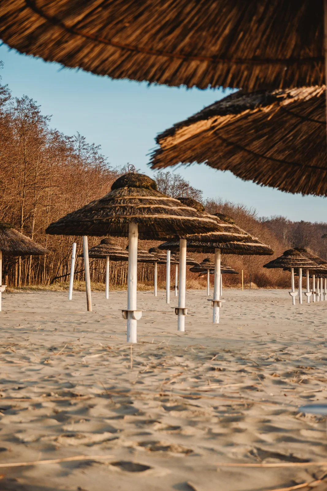 Koliba Sopot, Polskie Malediwy, Sopockie Malediwy, Plaża Koliba, Molo w Sopocie, Parasole w Sopocie