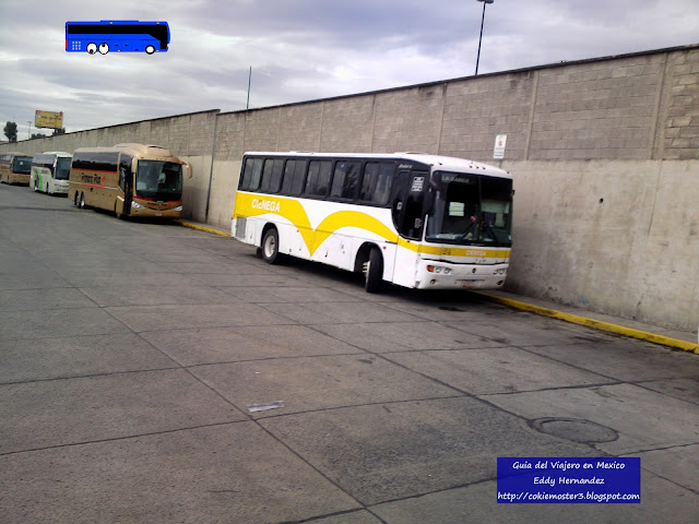 Autobuses Cienega