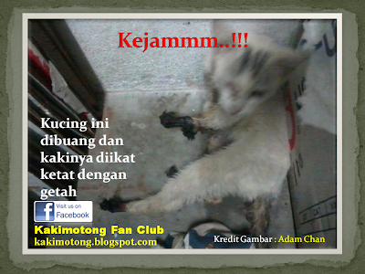 Kejam! Kucing Di Buang Dan Kaki Di Ikat Dengan Getah