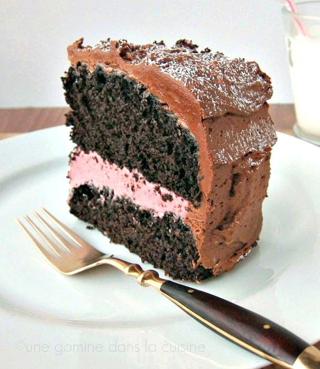 Chocolate Mocha Cake with Raspberry Cream Filling