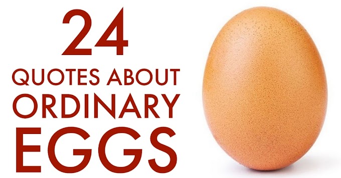 24 Quotes About Ordinary Eggs