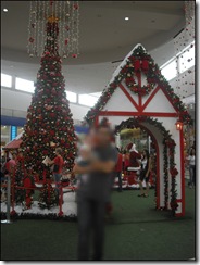 teeerceiras (2)