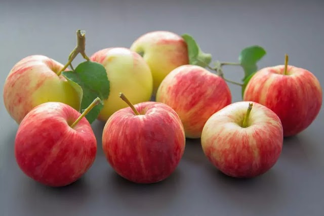 Are Apples Weight-Loss Friendships or Lose Weight?