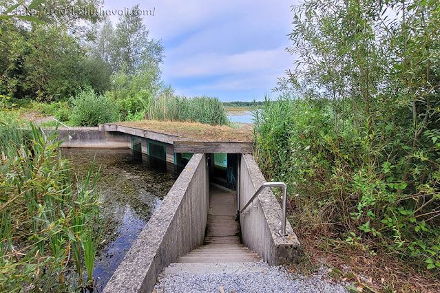 Virelles Aquascope - Things to do in Chimay - Best Birding places in Belgium