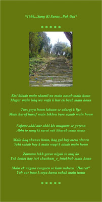 Roman Urdu Poetry Card