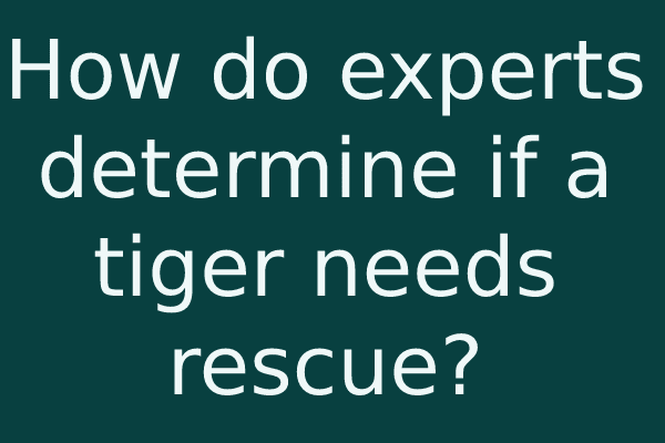 How do experts determine if a tiger needs rescue?
