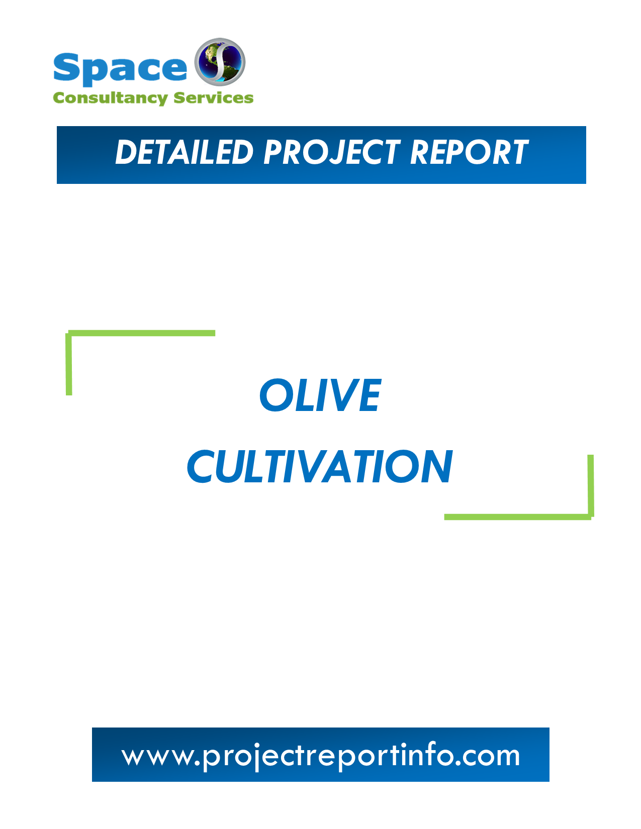 Project Report on Olive Cultivation