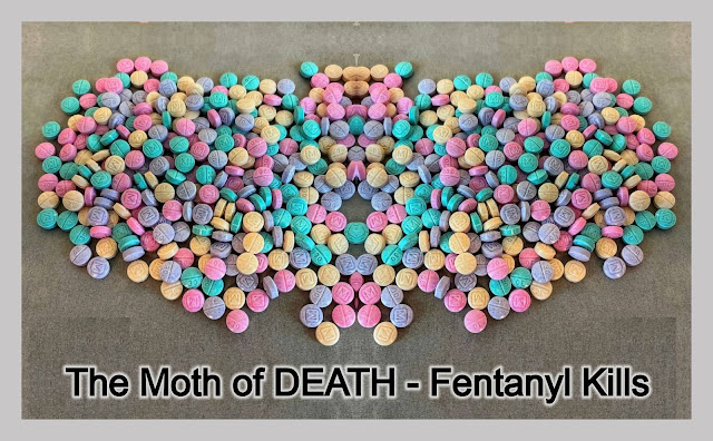 The Moth of Death - Fentanyl Kills meme.by gvan42