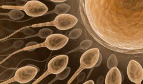 Tips Bikin Sperma Berkualitas