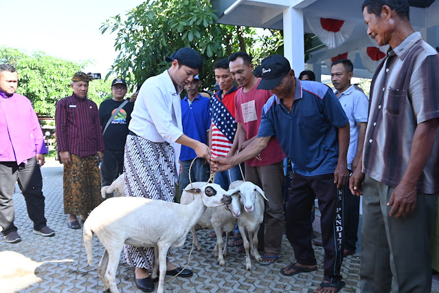    Mas Ipin Serahkan Bantuan 220 Ekor Kambing Kepada Masyarakat