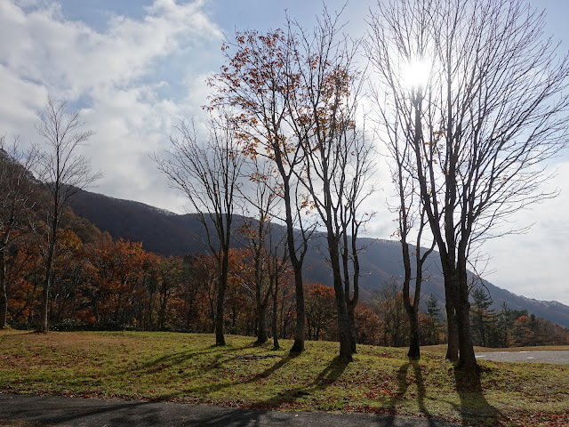 奥大山スキー場の公園