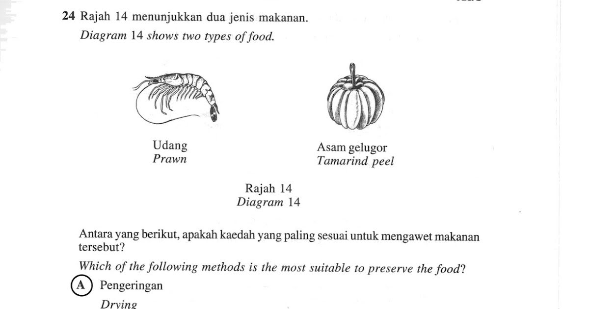 Jawapan Soalan Sains Upsr 2019 - Kecemasan k