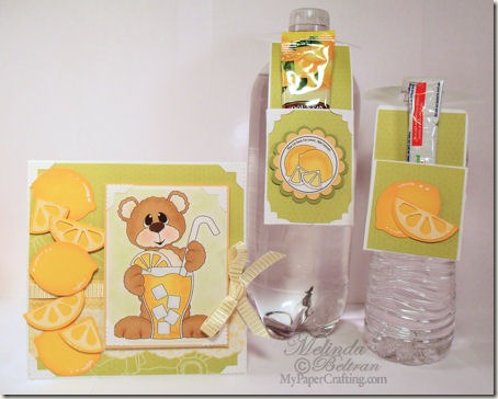 water bottle treat holder card set