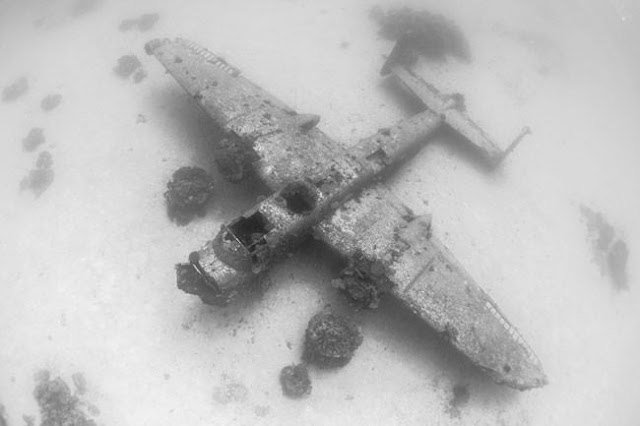 Aviões da Segunda Guerra Mundial abandonados transformados em belos Santuários para a vibrante vida do Oceano