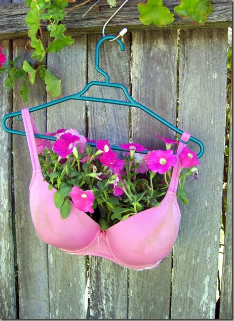 Plant%20a%20Bra%20Pink