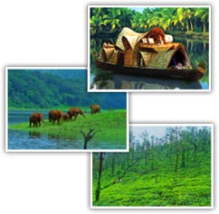 Kerala Tours