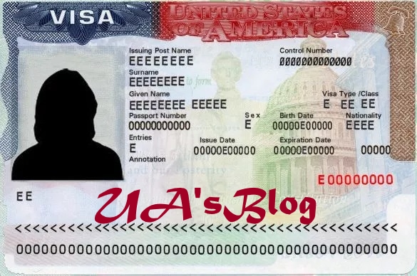 Fake visas: U.S. bans female accountant for life