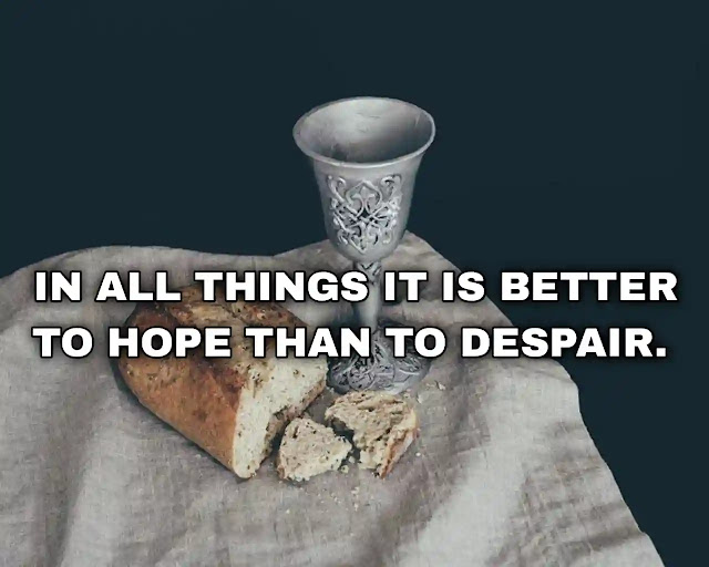 In all things it is better to hope than to despair.