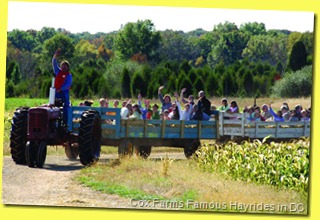 Cox Farms Famous Hayrides in DC