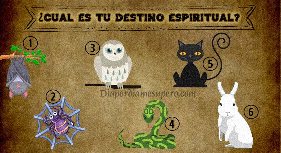 Test: ¿Cuál es tu destino espiritual? Elige un animal y descúbrelo!