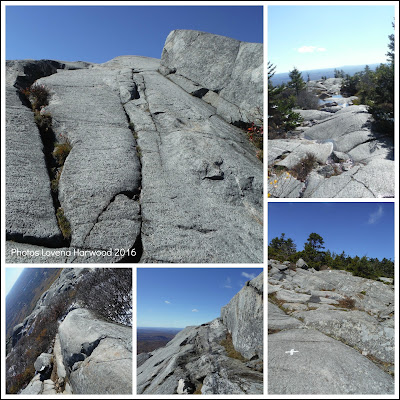 mt. monadnock, white cross trail, solo hiking, NH 52 with a view