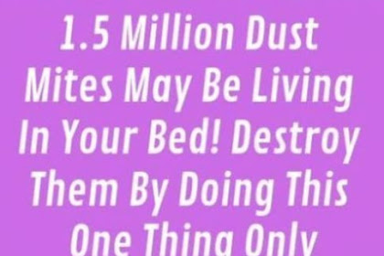 Millions of dust mites live in your bed. And you could kill them in a second!