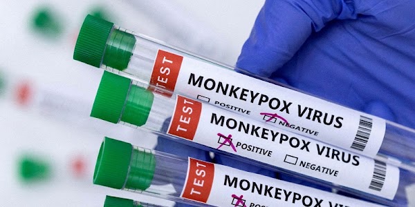 WHO Tetapkan Cacar Monyet Sebagai Keadaan Darurat Kesehatan Global