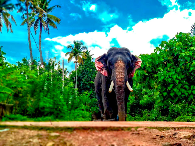 Thrikkadavoor SivaRaju  HD Images