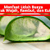 Manfaat Lidah Buaya