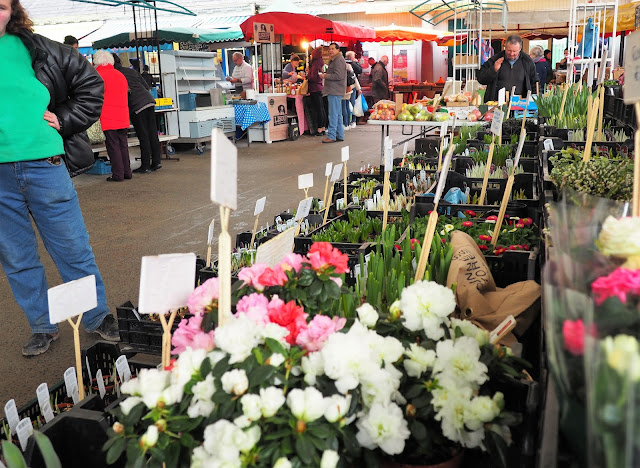 Limerick, Milk Market, kukkamyyjä