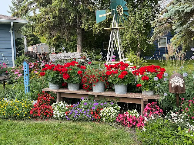 Photo of a long wooden bench in a flower border.