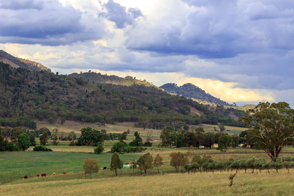 Mudgee, NSW - Wishful Thinking-4