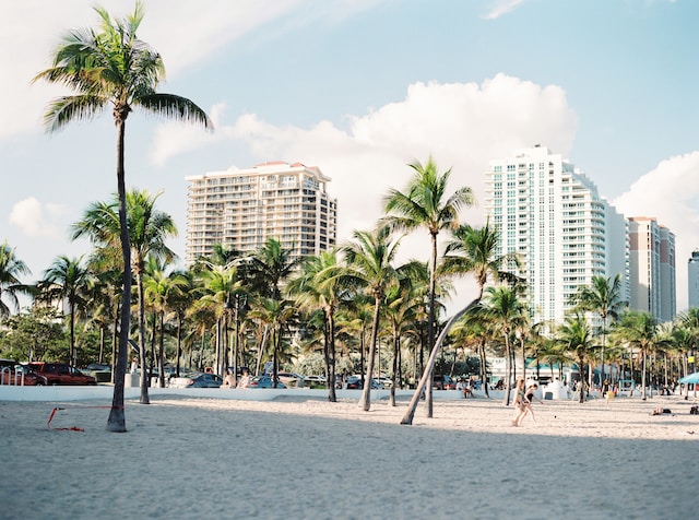 Miami - Beaches, and Tropical Vibes