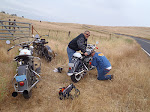 2011 Great Race