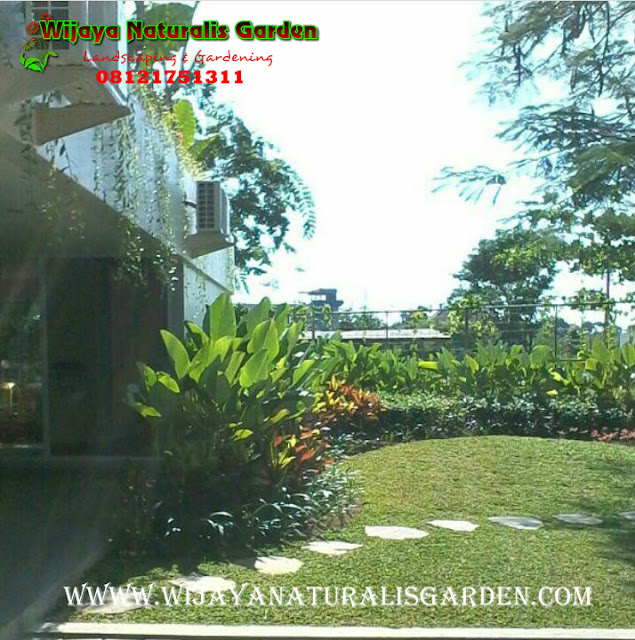 Tukang Taman Surabaya Garden Center,Tukang Taman Surabaya,Tukang Taman Surabaya Murah,Tukang Taman Surabaya Barat,Tukang Taman Kota Surabaya ,Harga Tukang Taman Surabaya ,Tukang Taman Murah di Surabaya,Tukang Buat Taman di Surabaya,Tukang Taman Surabaya Wijaya Naturalis,Tukang Taman Surabaya Murah,Tukang Taman Surabaya Terbaik,Tukang Pembuatan Taman Surabaya,Jasa Tukang Taman Surabaya,Tukang Taman di Surabaya,Tukang pembuatan Taman di Surabaya