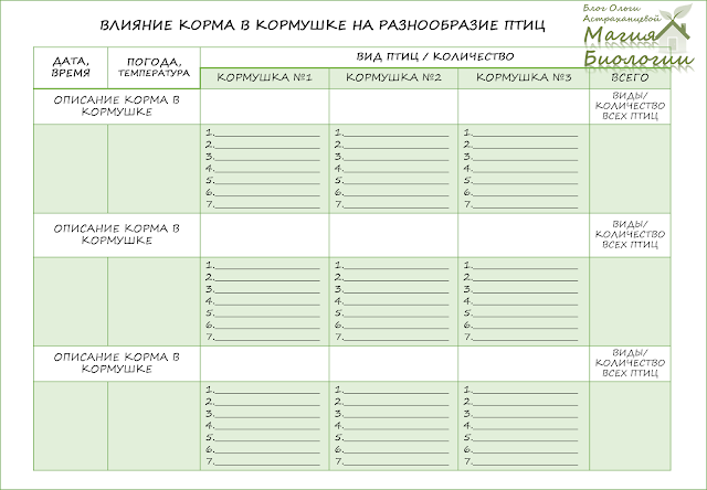 наблюдение-птиц-на-кормушках-магия-биологии-бланк