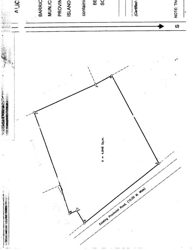 Industrial Titled Lot For Sale in Bajac Liloan Cebu