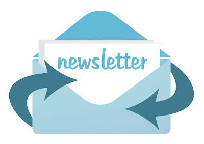 Widget Newsletter