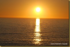 25-DSC_0907