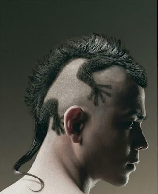 Lizard Iguana Hair Cut