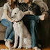 Ryan's Pet Supplies: Your Trusted Partner in Professional Pet Care