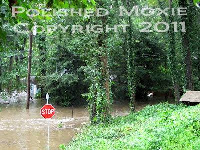 Picture of river flooding street and houses