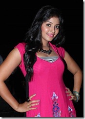 Actress Anjali at Settai Audio Launch Stills