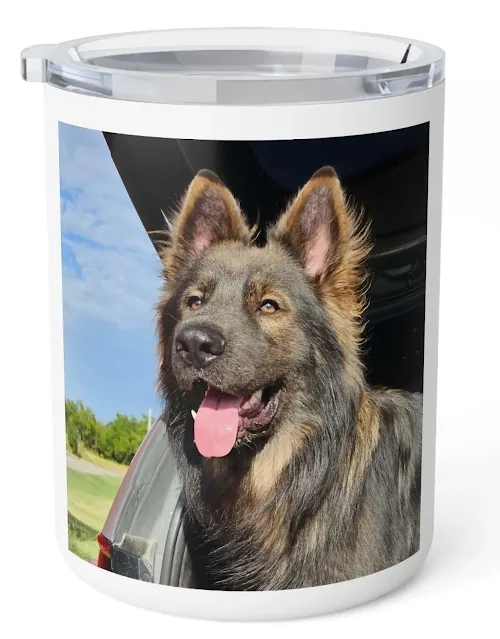 Insulated Stainless Steel Coffee Mug With Old-fashioned Extra Large Smoke Is a Dark Sable (Blue) Tall, Have Big Heads, Straight Back German Shepherd