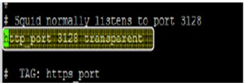 Membuat Proxy Server Menggunakan Linux Ubuntu 10.04 LTS Dan Debian 2